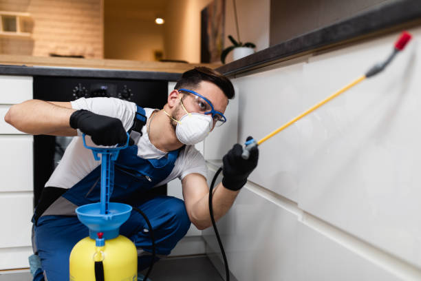 Best Best Pest Control Companies  in Claxton, GA