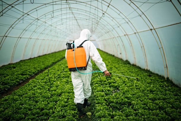 Pest Prevention Services in Claxton, GA
