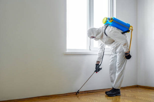 Best Termite Control Services  in Claxton, GA