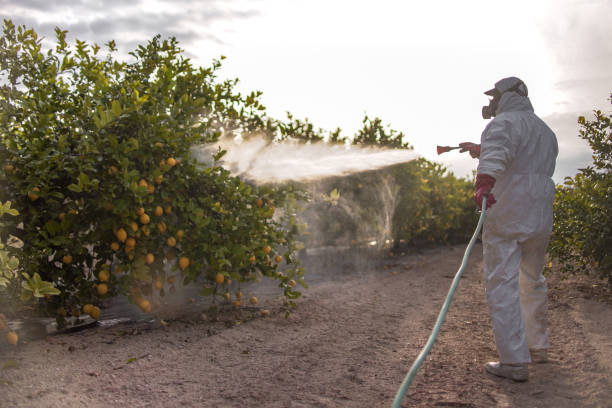 Professional Pest Control in Claxton, GA