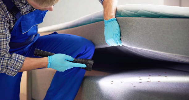 Best Mosquito Control Services  in Claxton, GA