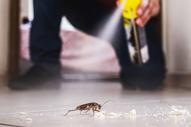 Best Bed Bug Extermination  in Claxton, GA
