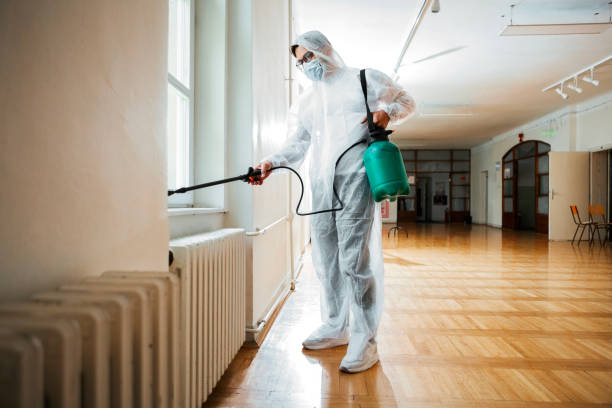 Best Flea Control Services  in Claxton, GA