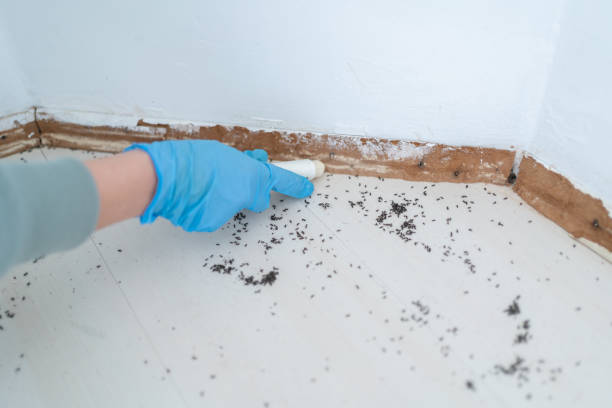 Best Exterminator Services  in Claxton, GA